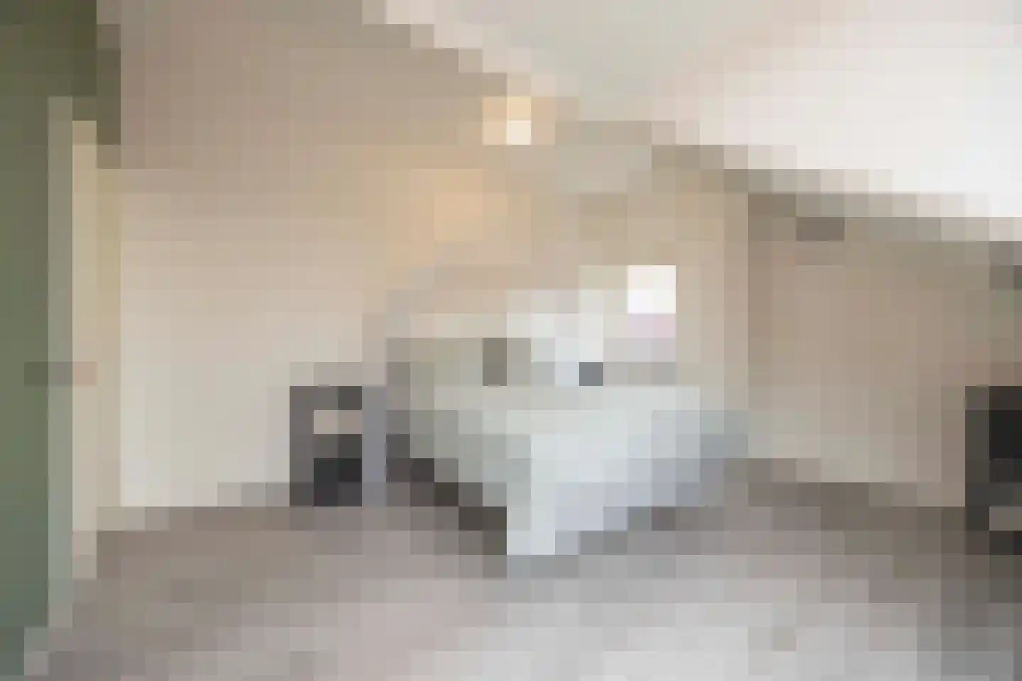 Zoutlaan 51 Oudenbosch thumbnail 31