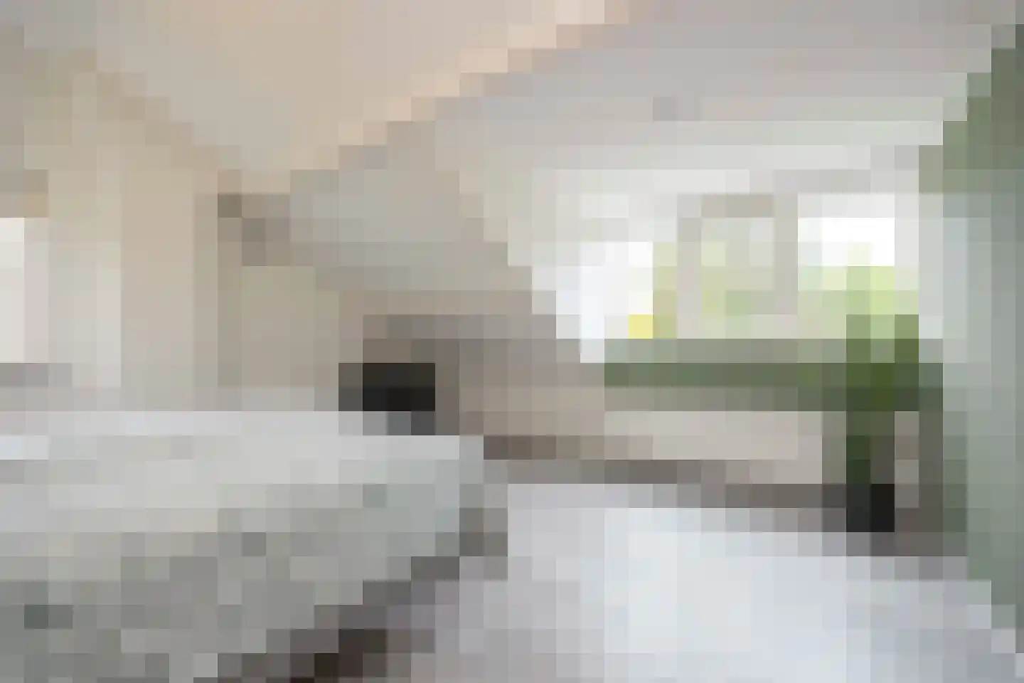 Zoutlaan 51 Oudenbosch thumbnail 32