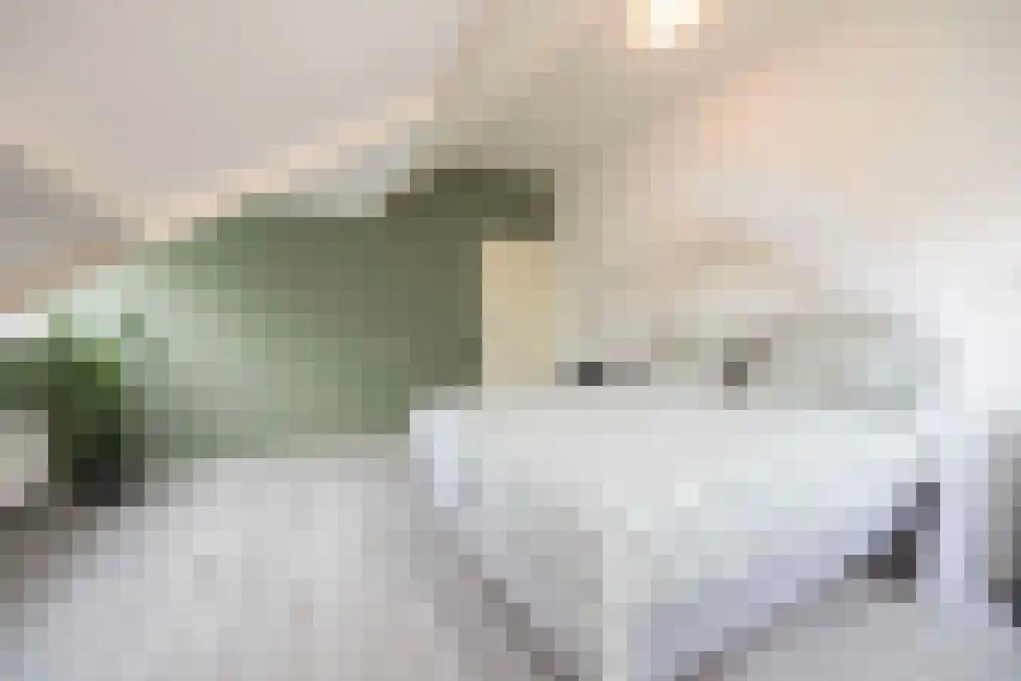 Zoutlaan 51 Oudenbosch thumbnail 33