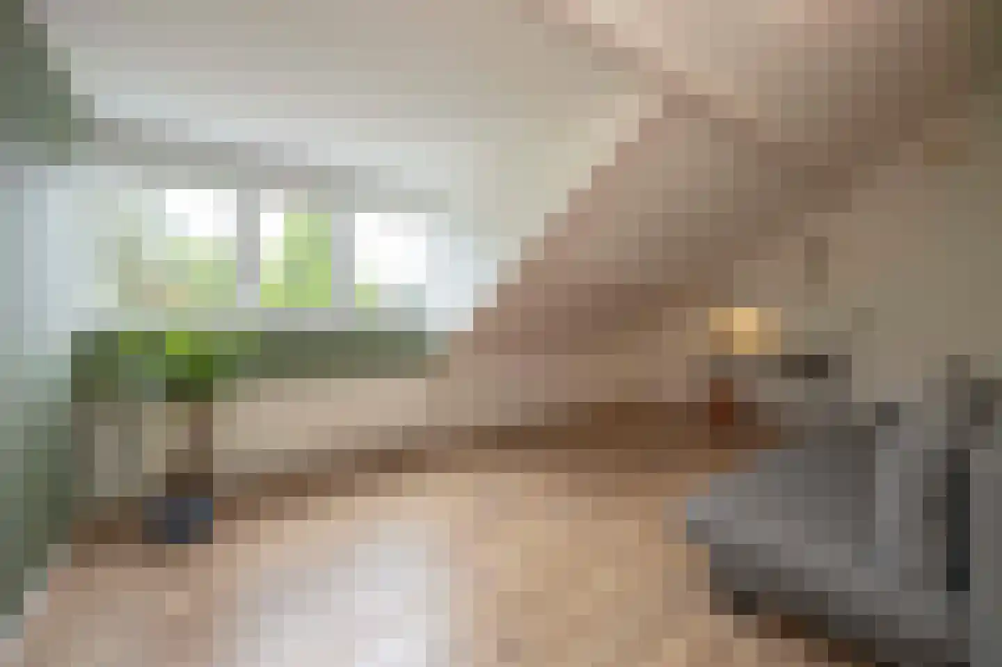 Zoutlaan 51 Oudenbosch thumbnail 34