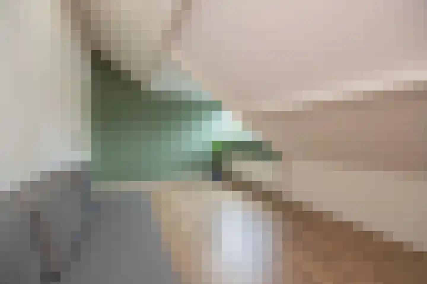 Zoutlaan 51 Oudenbosch thumbnail 35