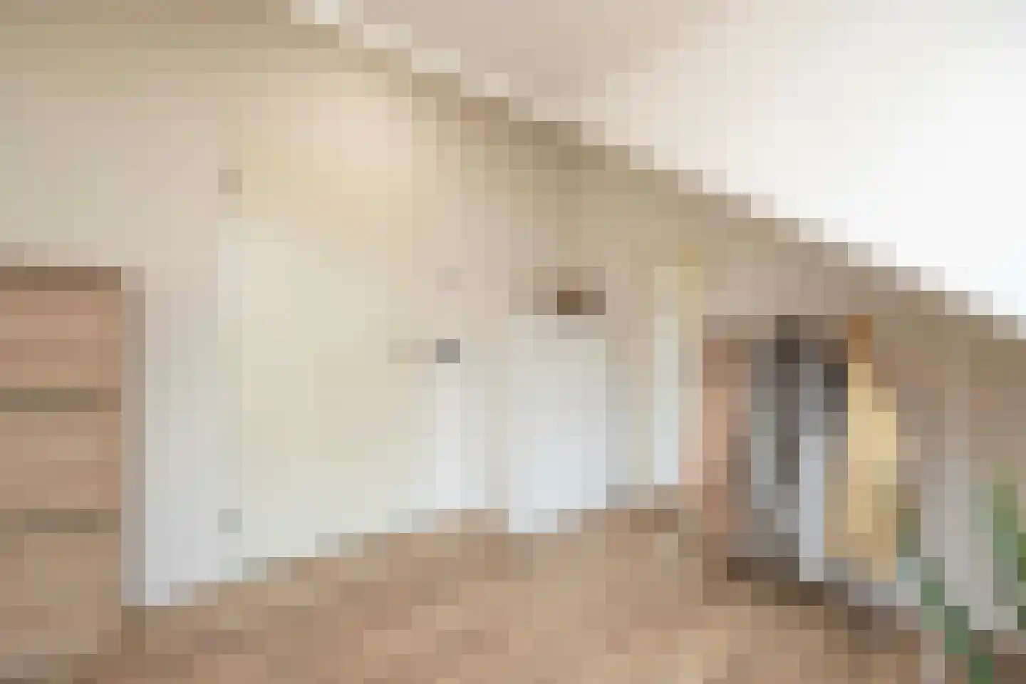 Zoutlaan 51 Oudenbosch thumbnail 37