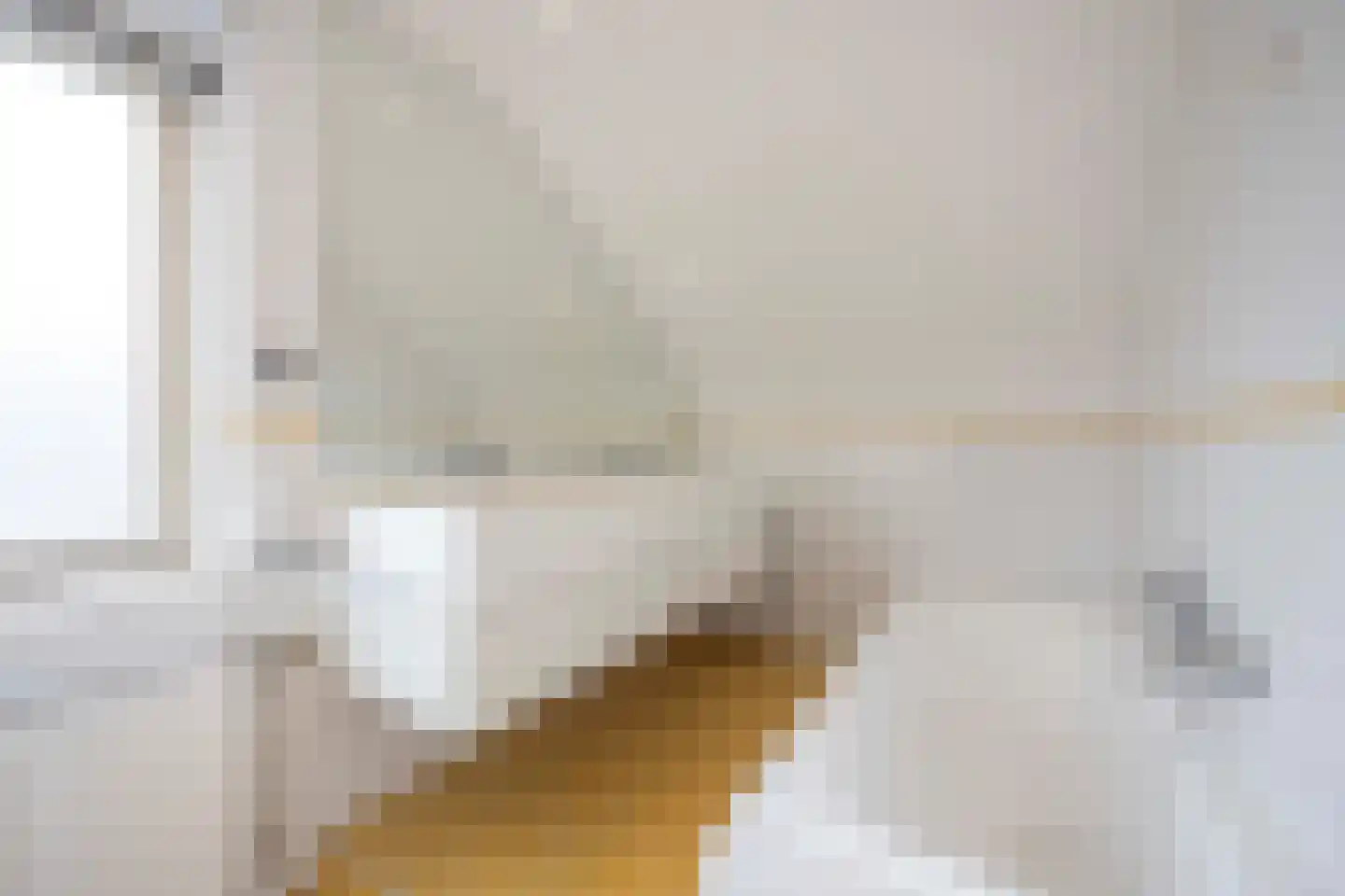 Zoutlaan 51 Oudenbosch thumbnail 38