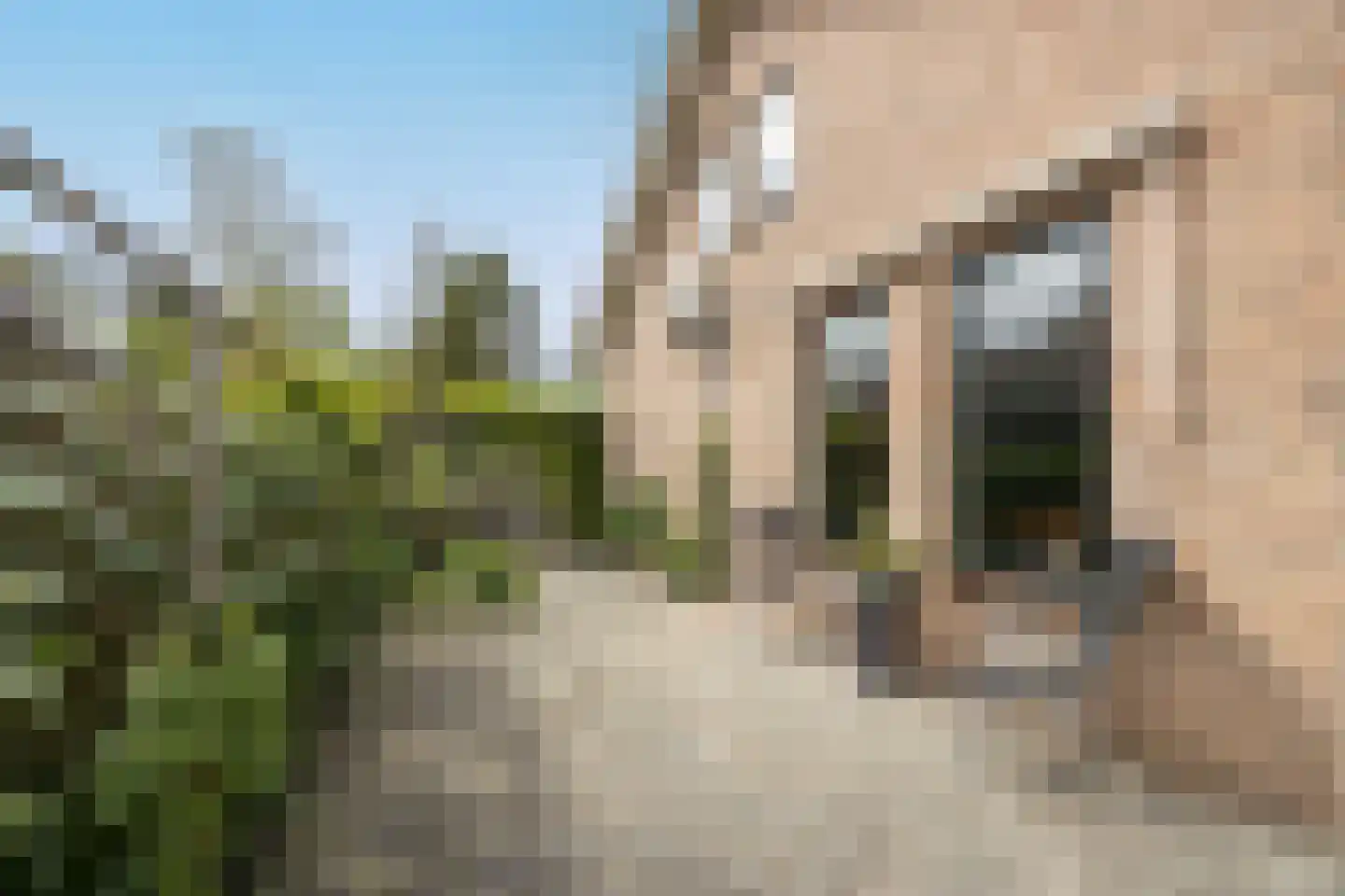 Zoutlaan 51 Oudenbosch thumbnail 43