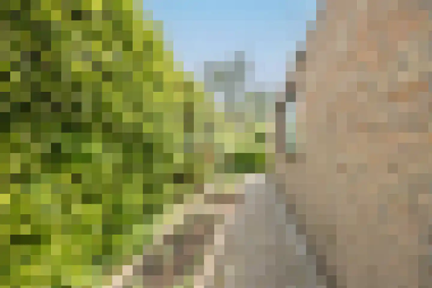 Zoutlaan 51 Oudenbosch thumbnail 45