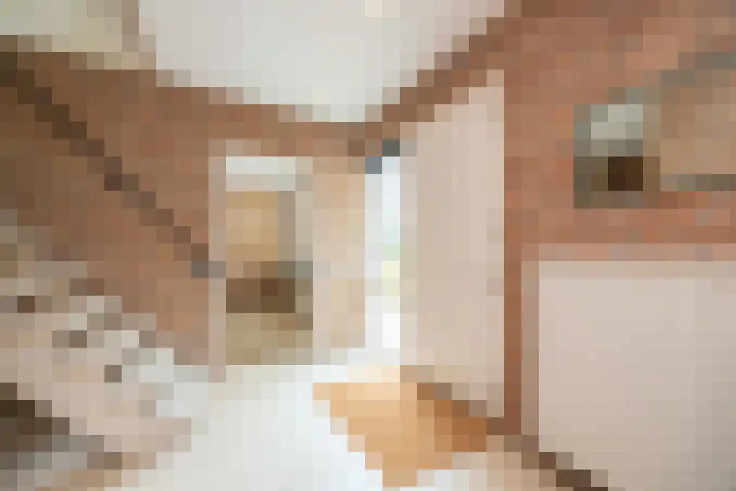 Zoutlaan 51 Oudenbosch thumbnail 6