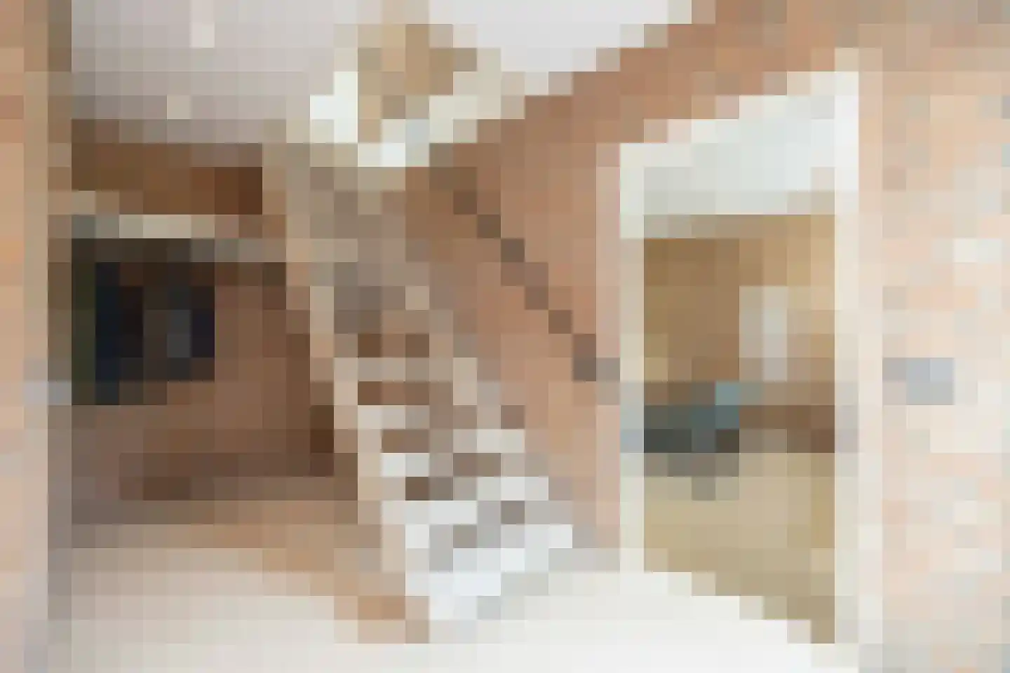 Zoutlaan 51 Oudenbosch thumbnail 7