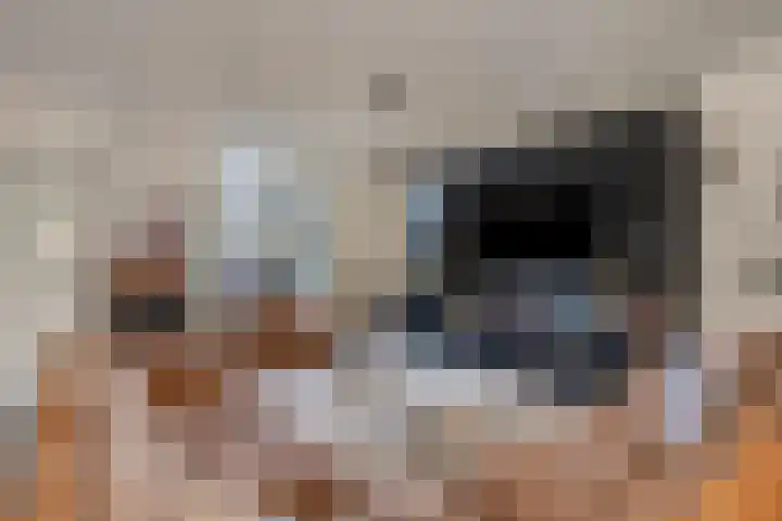 Zoutlaan 70 Oudenbosch thumbnail 12