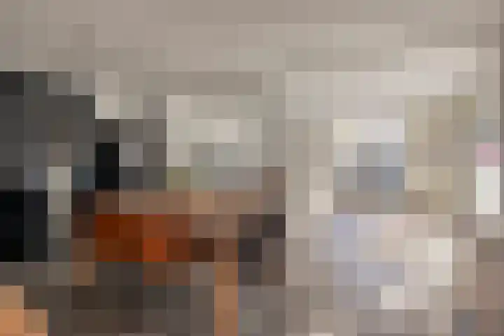 Zoutlaan 70 Oudenbosch thumbnail 13