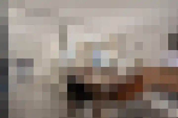 Zoutlaan 70 Oudenbosch thumbnail 14