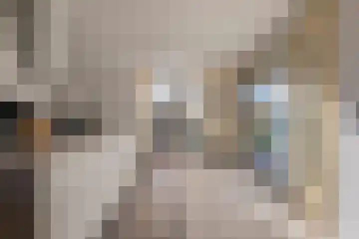 Zoutlaan 70 Oudenbosch thumbnail 16