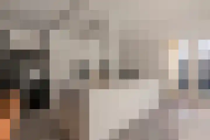 Zoutlaan 70 Oudenbosch thumbnail 17