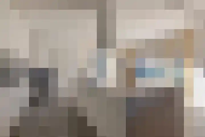 Zoutlaan 70 Oudenbosch thumbnail 18