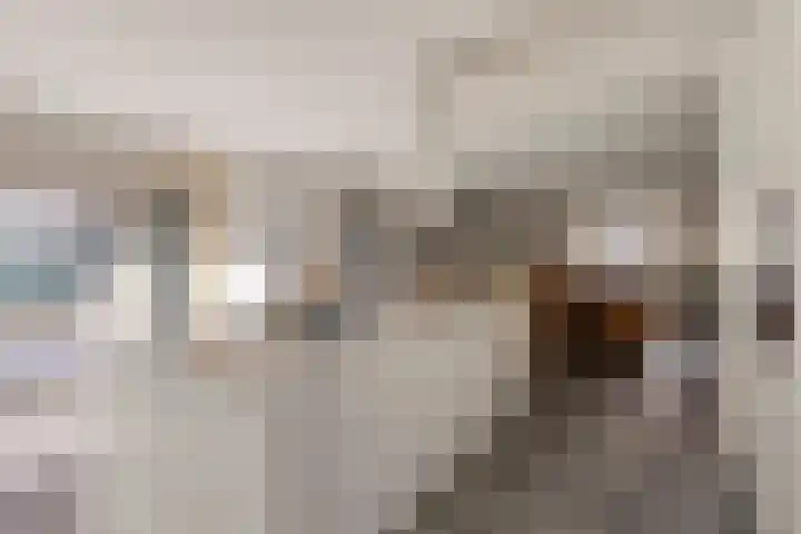 Zoutlaan 70 Oudenbosch thumbnail 20