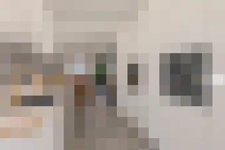 Zoutlaan 70 Oudenbosch thumbnail 21