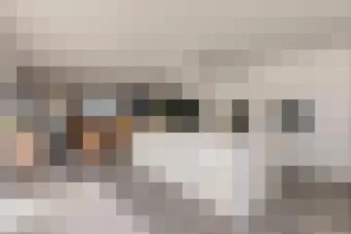 Zoutlaan 70 Oudenbosch thumbnail 22
