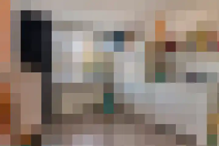 Zoutlaan 70 Oudenbosch thumbnail 27