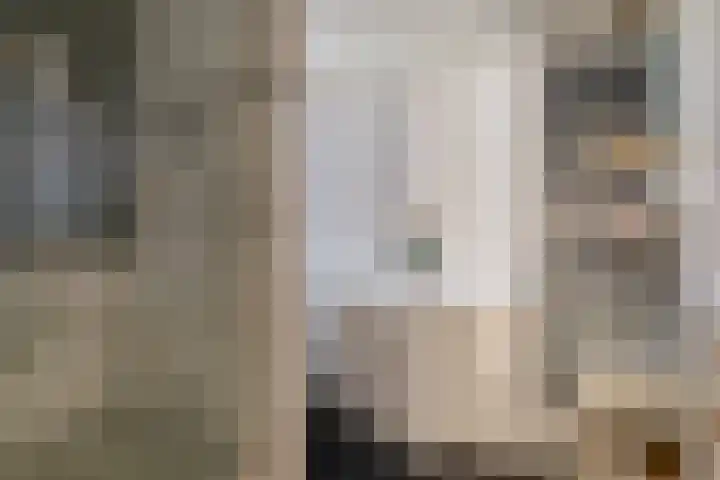 Zoutlaan 70 Oudenbosch thumbnail 29