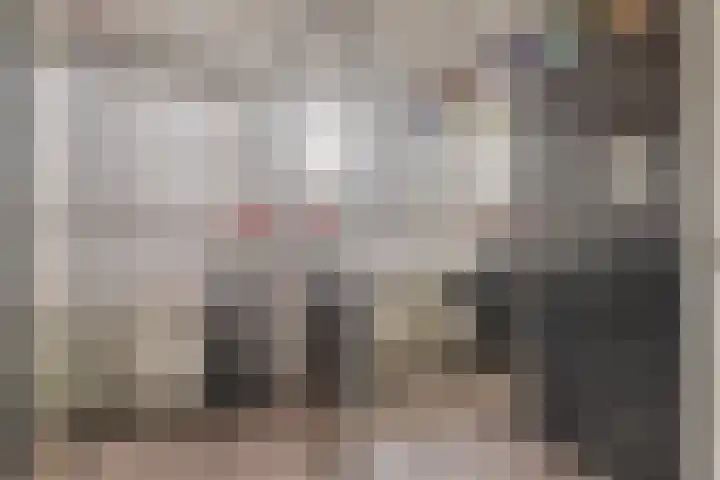 Zoutlaan 70 Oudenbosch thumbnail 33