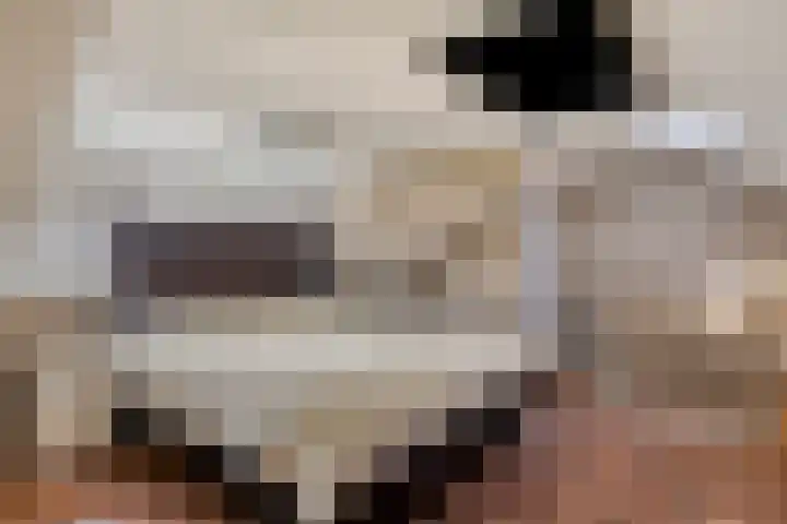 Zoutlaan 70 Oudenbosch thumbnail 35