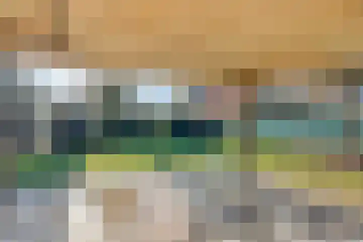 Zoutlaan 70 Oudenbosch thumbnail 36