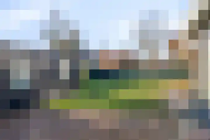 Zoutlaan 70 Oudenbosch thumbnail 38