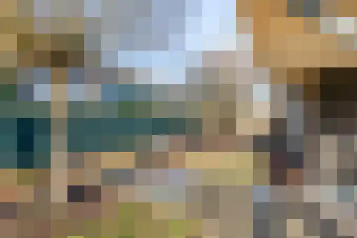Zoutlaan 70 Oudenbosch thumbnail 39