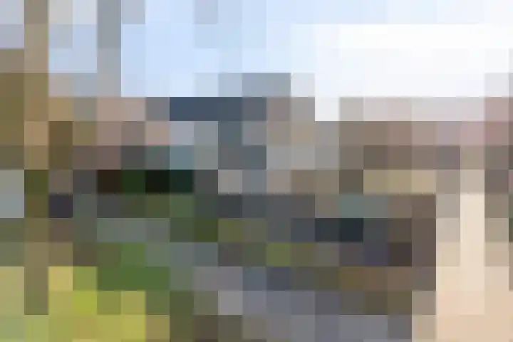 Zoutlaan 70 Oudenbosch thumbnail 4