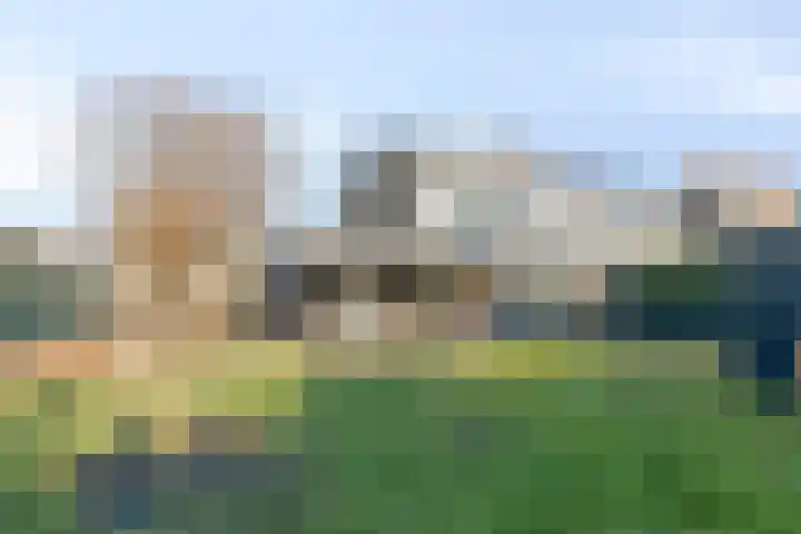 Zoutlaan 70 Oudenbosch thumbnail 41