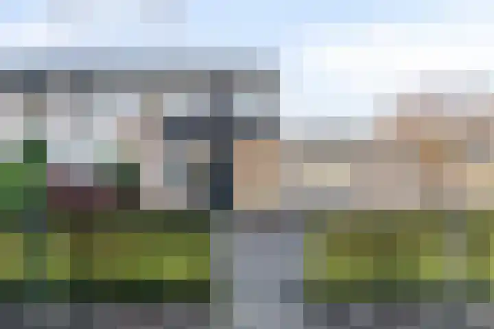 Zoutlaan 70 Oudenbosch thumbnail 5