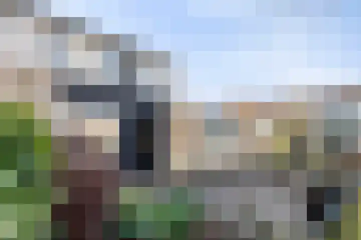 Zoutlaan 70 Oudenbosch thumbnail 6