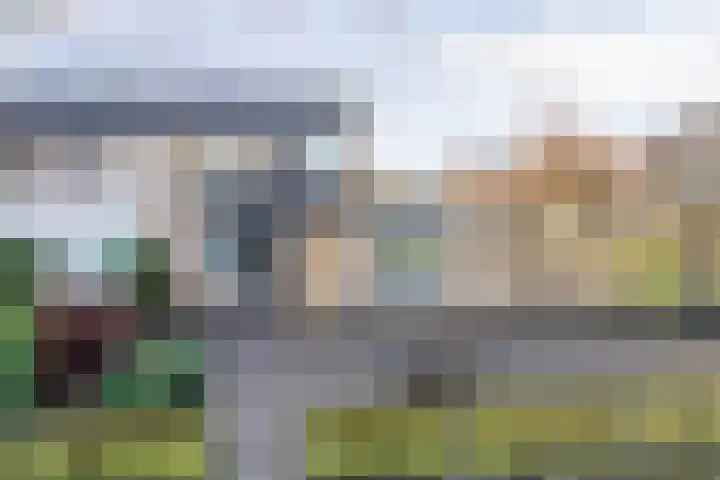Zoutlaan 70 Oudenbosch thumbnail 7