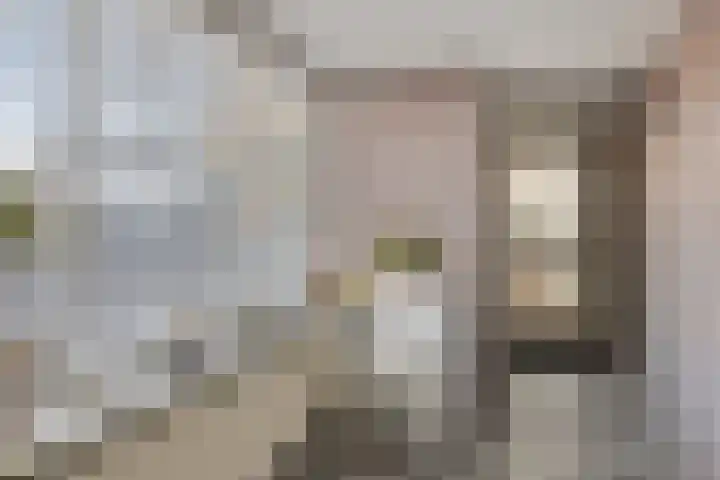 Zoutlaan 70 Oudenbosch thumbnail 8