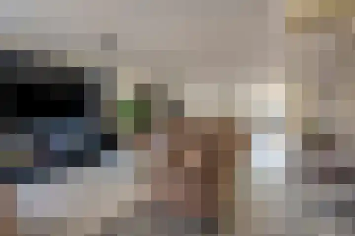 Zoutlaan 70 Oudenbosch thumbnail 9