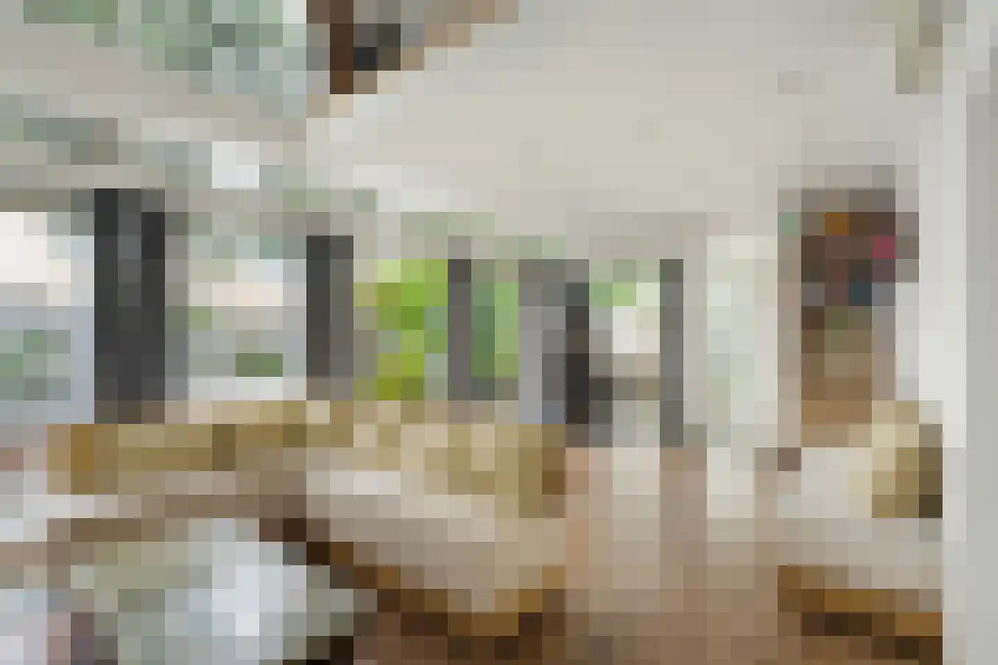 Zoutlaan 84 Oudenbosch thumbnail 12