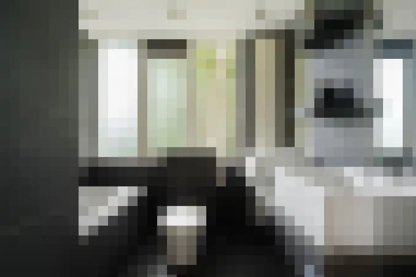 Zoutlaan 84 Oudenbosch thumbnail 17