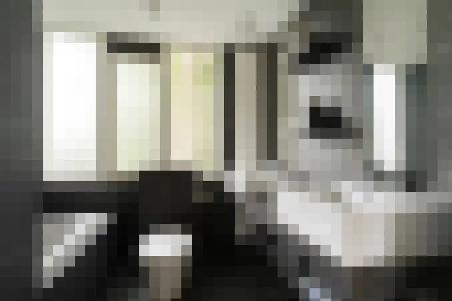 Zoutlaan 84 Oudenbosch thumbnail 18