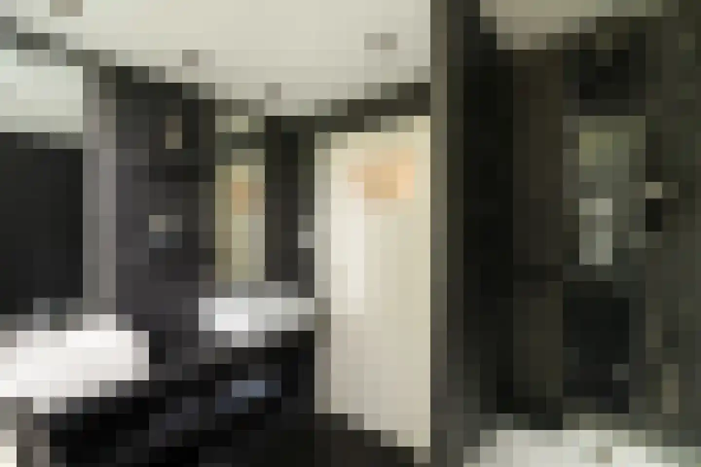 Zoutlaan 84 Oudenbosch thumbnail 19