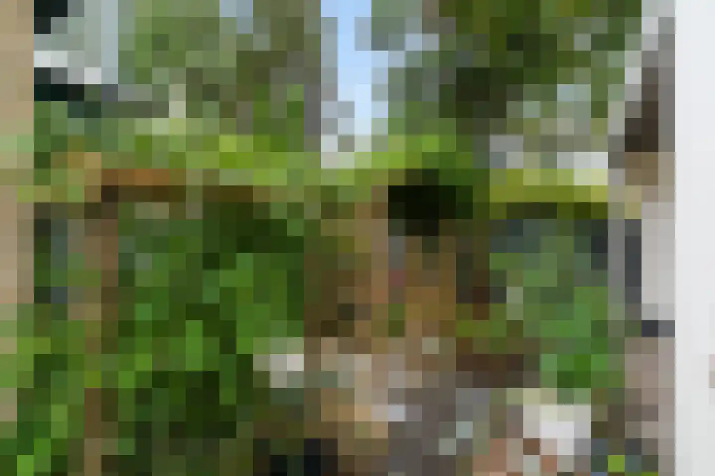 Zoutlaan 84 Oudenbosch thumbnail 32