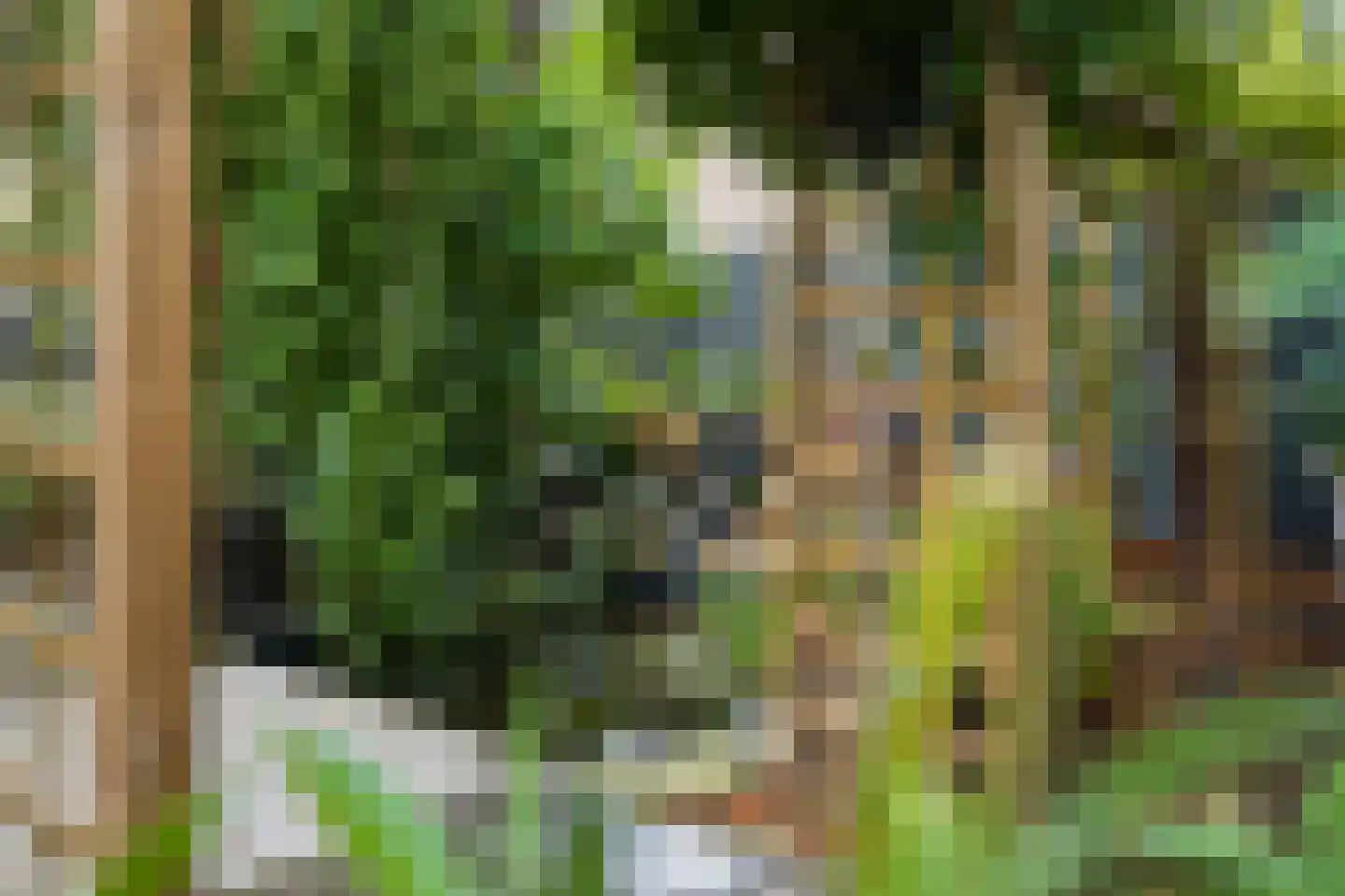 Zoutlaan 84 Oudenbosch thumbnail 33