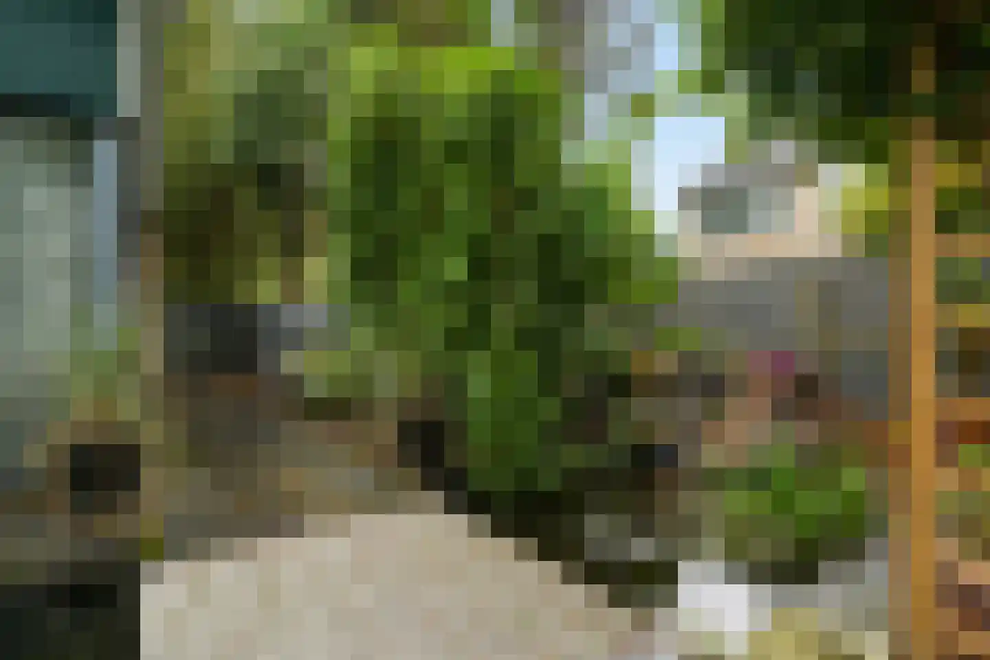 Zoutlaan 84 Oudenbosch thumbnail 34