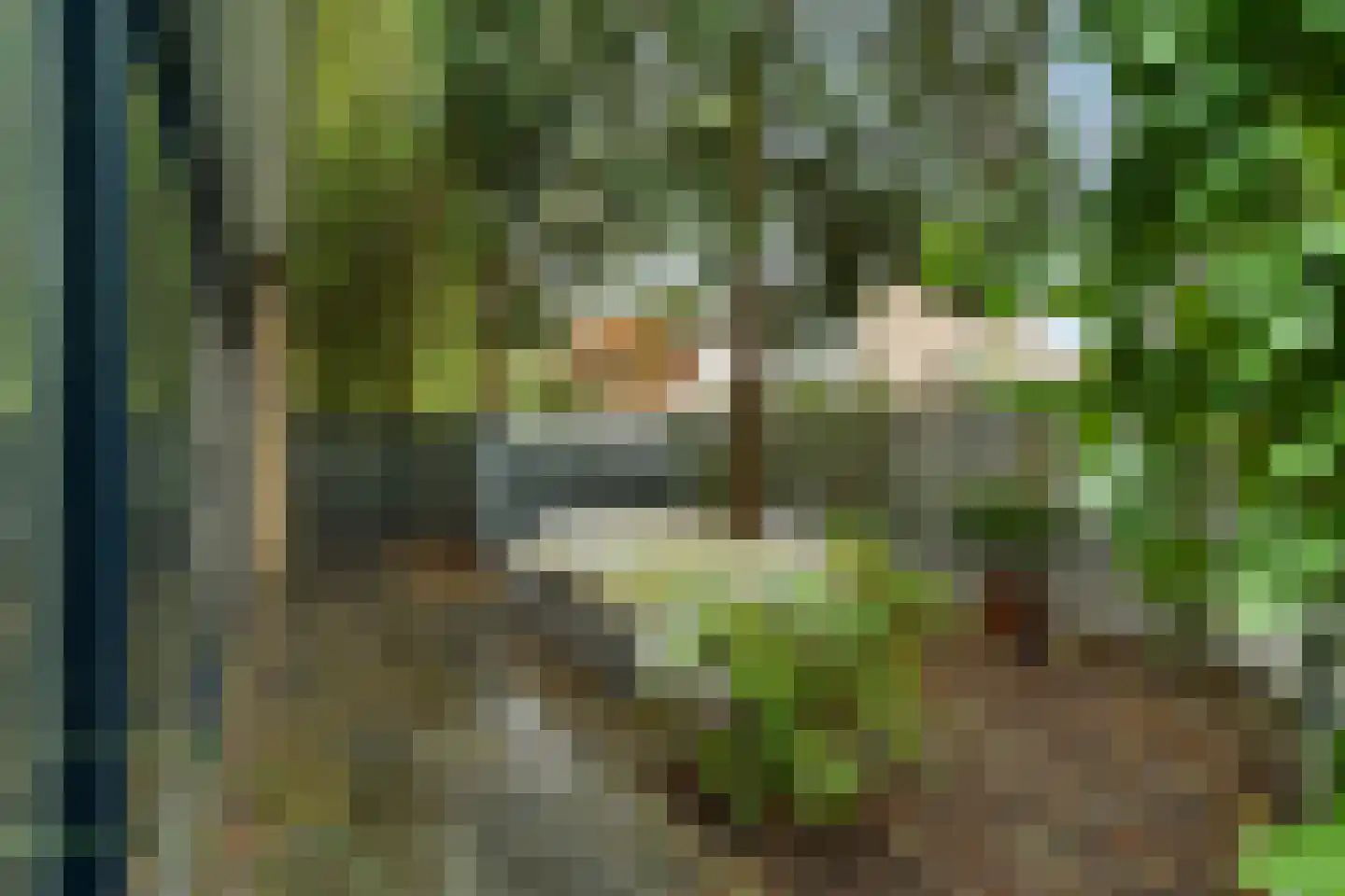 Zoutlaan 84 Oudenbosch thumbnail 35