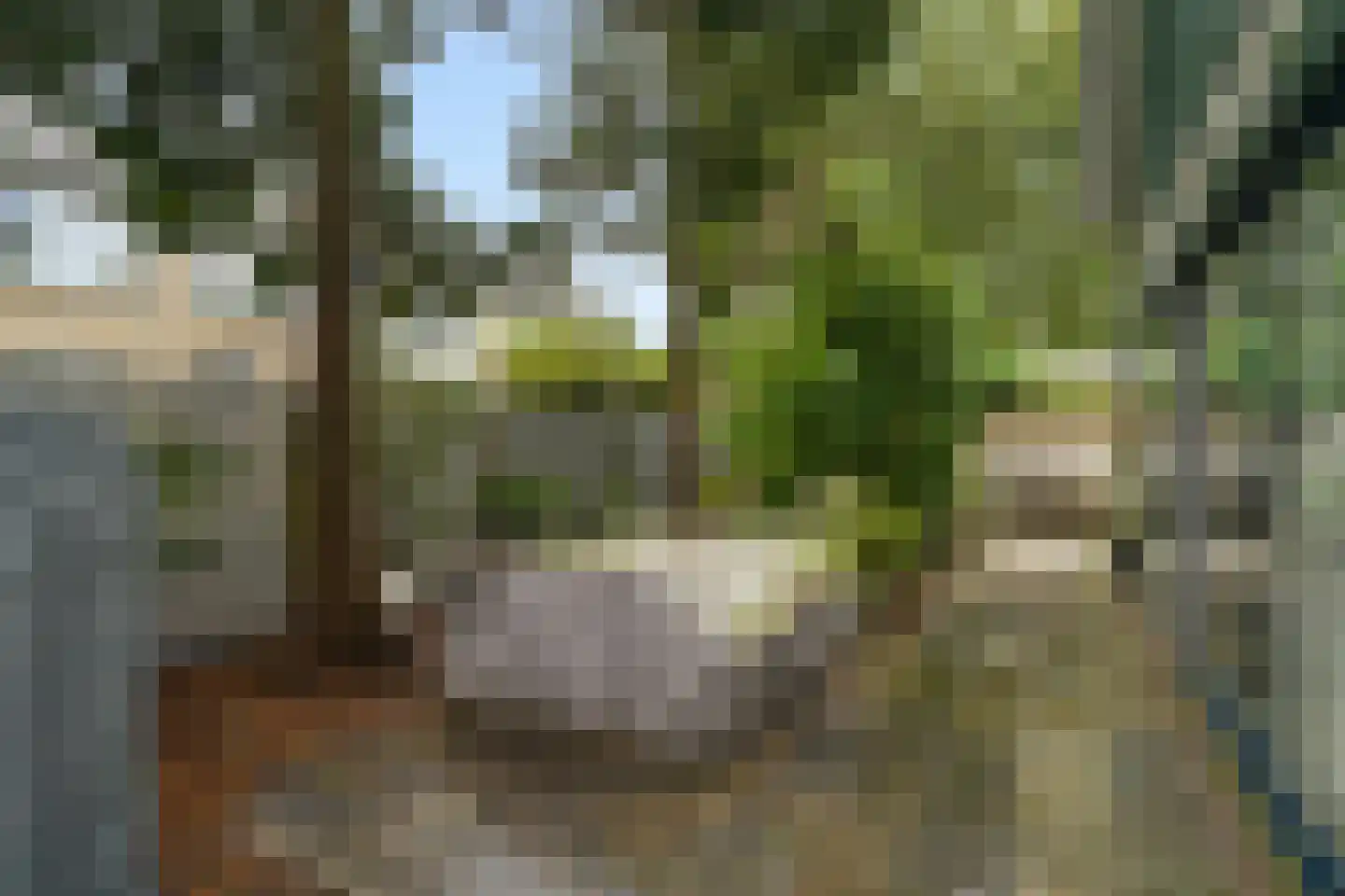 Zoutlaan 84 Oudenbosch thumbnail 36