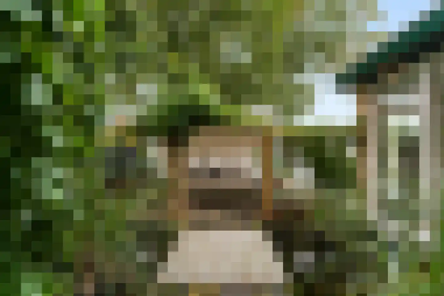 Zoutlaan 84 Oudenbosch thumbnail 37