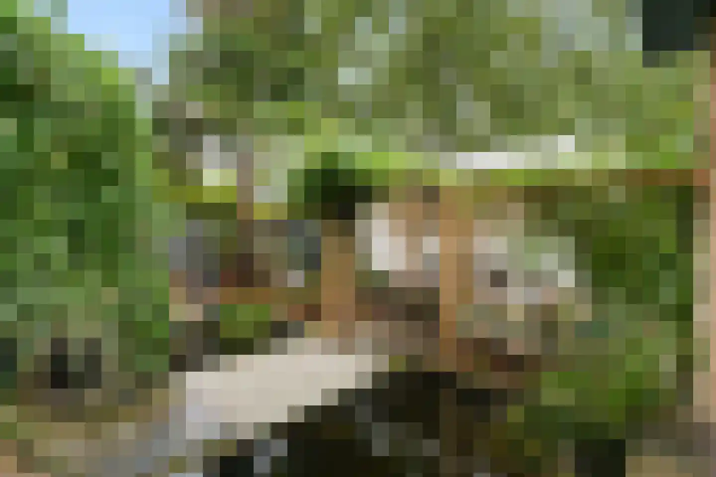 Zoutlaan 84 Oudenbosch thumbnail 38