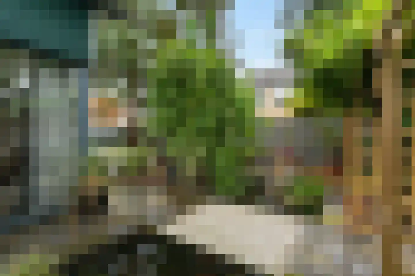 Zoutlaan 84 Oudenbosch thumbnail 39
