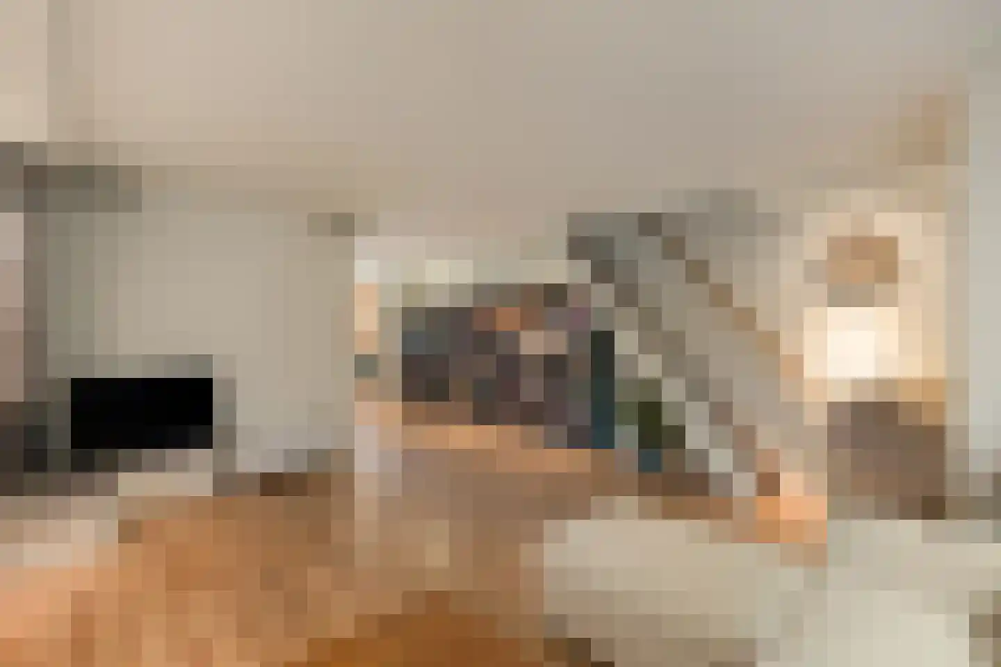 Zoutlaan 84 Oudenbosch thumbnail 6