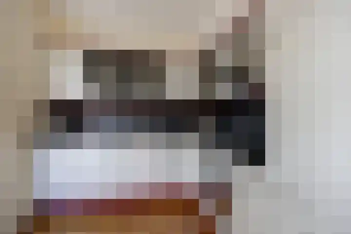 Zoutlaan 96 Oudenbosch thumbnail 14