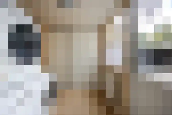 Zoutlaan 96 Oudenbosch thumbnail 16