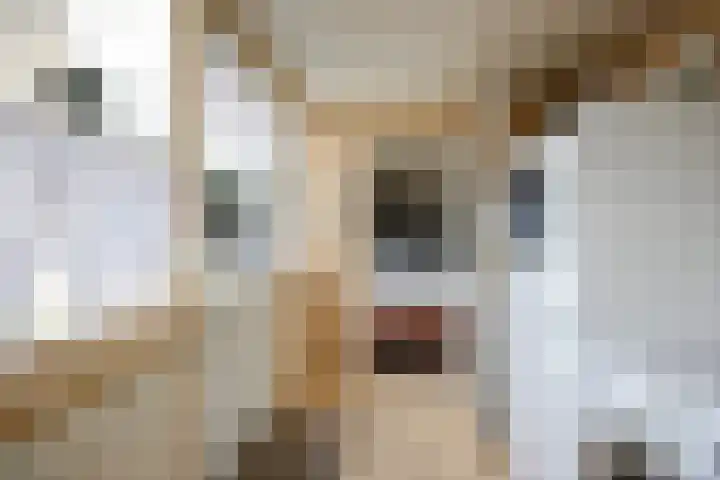 Zoutlaan 96 Oudenbosch thumbnail 17